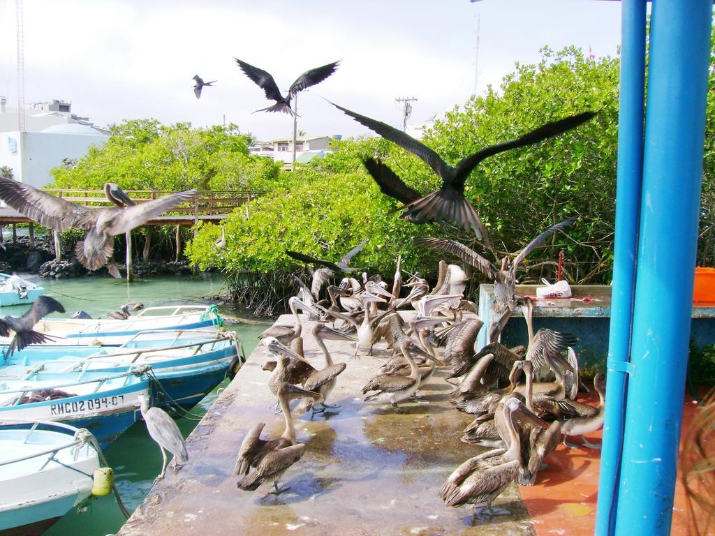 Hotel Pelican Bay Puerto Ayora  Esterno foto